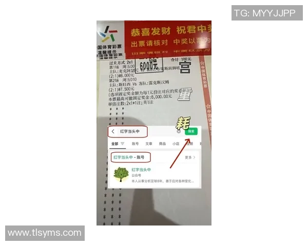 足球星期日赛事预测分析：最新战况与趋势解读，帮助你精准把握投注机会